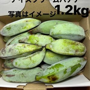 アイスクリームバナナ 1.2kg