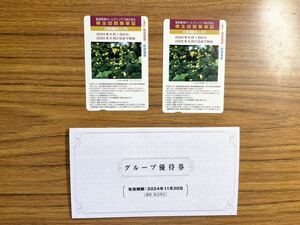 阪急阪神ホールディングス 株主回数乗車証 ・グループ優待券　最新