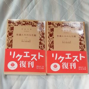 牡猫ムルの人生観　上下 （岩波文庫） （改版） ホフマン／作　秋山六郎兵衛／訳