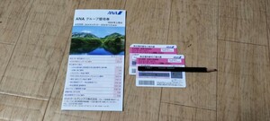 最新　全日空 ANA 株主優待券2枚＋冊子1冊　2025年5月まで