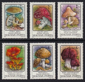  Hungary * mushrooms <1986 year >( not yet )6 kind .