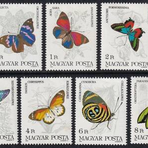 ハンガリー・蝶＜１９８４年＞（未）７種完の画像1