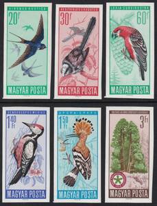  Hungary * bird <1966 year >( not yet ) less eyes strike .6 kind .