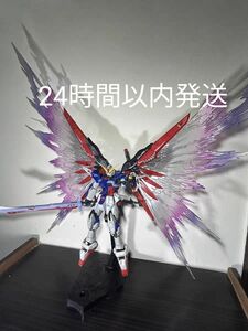 RG デスティニーガンダム用 光の翼