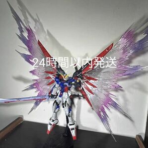 RG デスティニーガンダム用 光の翼