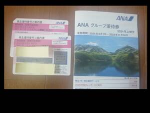 ANA株主優待券　2枚　グループ優待券あり　送料無料