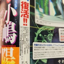 B57-023 月刊ヤングマガジン 2011 4/1 付録 攻殻仕様3Dメガネ 欠品_画像3