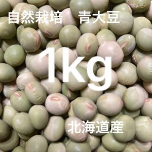 青大豆　自然栽培　自然乾燥　無肥料　無農薬　1kg