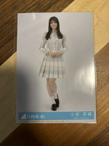 日向坂46 11th 君はハニーデュー 生写真 小坂菜緒 ヒキ