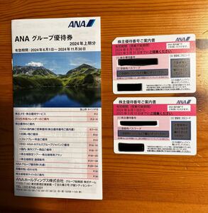 ANA 株主優待カード2枚