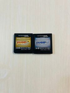 任天堂　DS ポケモン ハートゴールド ソウルシルバー2点セット