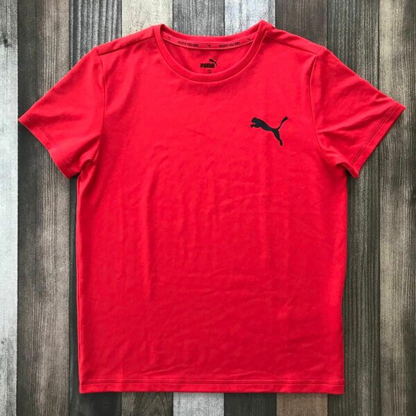 PUMA プーマ 吸水速乾 Tシャツ 140cm