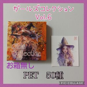 nene様　ガールズコレクション　ステッカー　Vol.6 PETタイプ　50枚　お箱無し