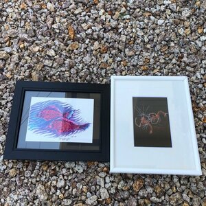 Art hand Auction [Current condition, simple packaging in a frame box, frame included] Artist unknown, Sea bream, shrimp, fish, 2 pieces, abstract painting, painting, art, frame, retro, interior, object, management 1, Artwork, Painting, others