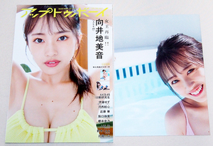 ■UTB アップトゥボーイ 2023年 11月号 Vol.331　　　　向井地美音/鈴木くるみ/阪口珠美/河西結心/比賀ハル/上西怜/他