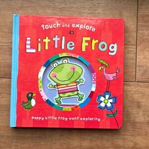 Little Frog 英語絵本 絵本 仕掛け絵本