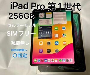 iPad Pro 11 インチ　第1世代 256GB セルラー Wi-Fi スペースグレイ Cellular 利用制限無　動作○