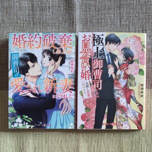 婚約破棄しましたが、御曹司の愛され新妻になりました／極上御曹司とお見合い婚〜お試し恋愛始めます／〔著〕綾瀬麻結