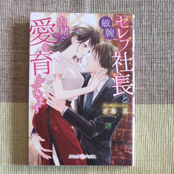 敏腕セレブ社長と内緒で愛を育んでいます (ルネッタブックス LBL-018) 水島忍/著