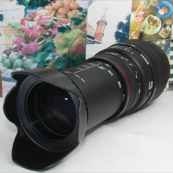 迫力の超望遠レンズシグマ 70-300mm ソニー aマウント用