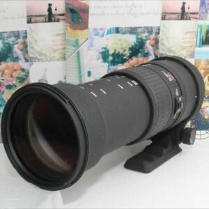 SIGMA EX 50-500mm 4-6.3 APO HSM Nikon用