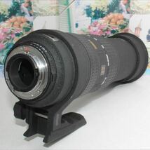 SIGMA EX 50-500mm 4-6.3 APO HSM Nikon用_画像2