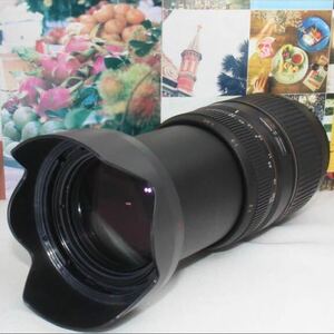 ど迫力の超望遠PENTAX用タムロン 望遠レンズ 70-300 ㎜