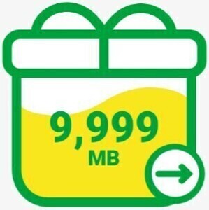 mineo マイネオ パケットギフト 約10GB 9999MB 匿名 数量限定 