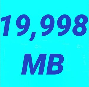 mineo マイネオ パケットギフト 約20GB 19998MB 匿名 即対応 数量限定 