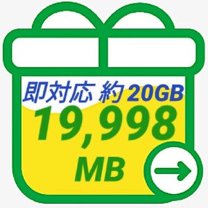 mineo マイネオ パケットギフト 約20GB 19998MB 匿名 即対応 数量限定 