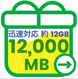 mineo マイネオ パケットギフト 約12GB 12000MB 匿名 迅速対応 数量限定