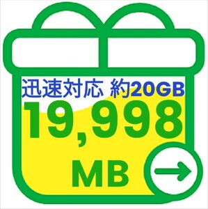 mineo マイネオ パケットギフト 約20GB 19998MB 匿名 迅速対応 数量限定