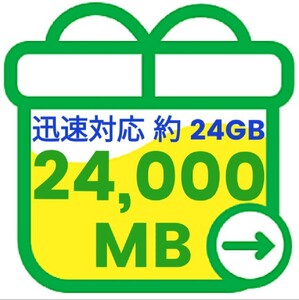 mineo マイネオ パケットギフト 約24GB 24000MB 匿名 迅速対応 数量限定 