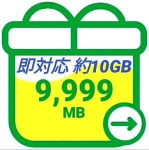 mineo マイネオ パケットギフト 約10GB 9999MB 匿名 即対応 数量限定 