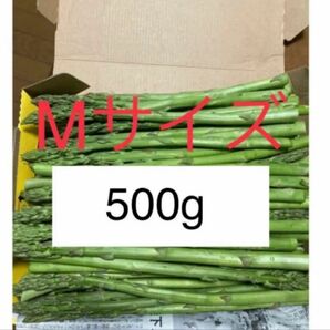 アスパラ　Ｍサイズ500g