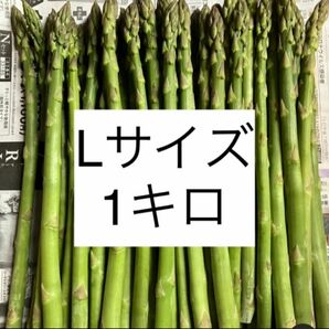 アスパラ　Lサイズ1キロ