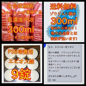 簡単培養ゾウリムシ300ml＋PSB300ml★ペットボトルで爆殖中