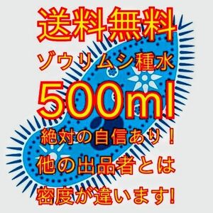 史上最強★絶対の自信あり★密度が違います★簡単培養ゾウリムシ500ml★ペットボトルで爆殖中★