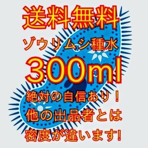 史上最強★絶対の自信あり★密度が違います★簡単培養ゾウリムシ300ml★ペットボトルで爆殖中★