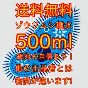 史上最強★絶対の自信あり★密度が違います★簡単培養ゾウリムシ500ml★ペットボトルで爆殖中★