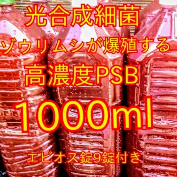 送料無料★自家培養★高濃度光合成細菌PSB1000ml＋培養用エビオス錠９錠★生クロレラも出品中★