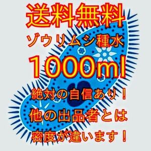 史上最強★絶対の自信あり★密度が違います★簡単培養ゾウリムシ1000ml★ペットボトルで爆殖中★