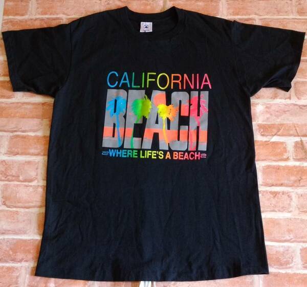 美品 USA製 90s DELTA 旧タグ Tシャツ　CALIFORNIA BEACH　シングルステッチ　綿100　made in usa