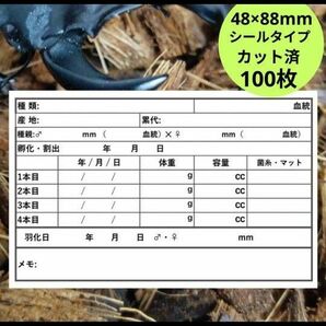 【期間限定SALE】1760円→1660円幼虫管理ラベル クワガタ カブトムシ シール カット済 100枚