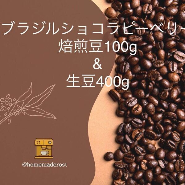 ブラジルショコラピーベリー 焙煎豆100g &生豆400g