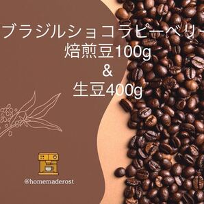 ブラジルショコラピーベリー 焙煎豆100g &生豆400g