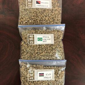コーヒー生豆大陸別3種 各250g