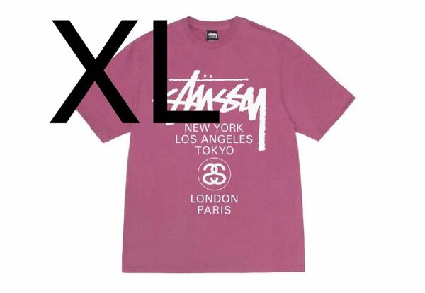 Stussy World Tour SS24 Tee "Berry"