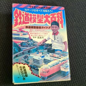 鉄道模型大百科 ケイブンシャ 昭和55年 初版 Nゲージのすべて Nゲージ車両 ストラクチャアクセサリー 電車 鉄道模型店の画像1