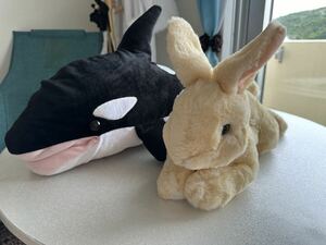 ウサギとシャチのぬいぐるみセット うさぎぬいぐるみ(サンレモン社製)約40cm 鴨川シーワールド公式シャチぬいぐるみ約50cm